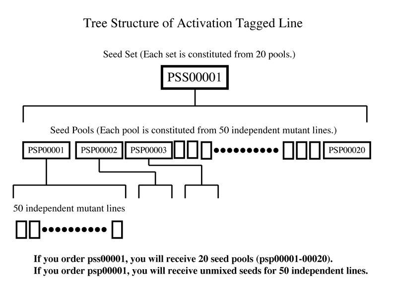 Tree Structure of Activation Tagged Line