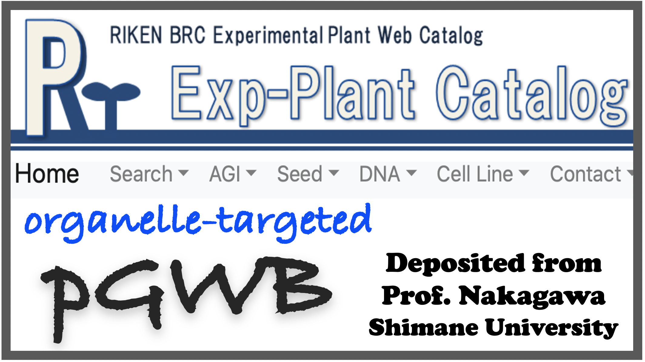 epd brc riken jp
